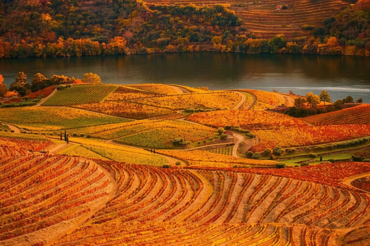 October light over the Douro