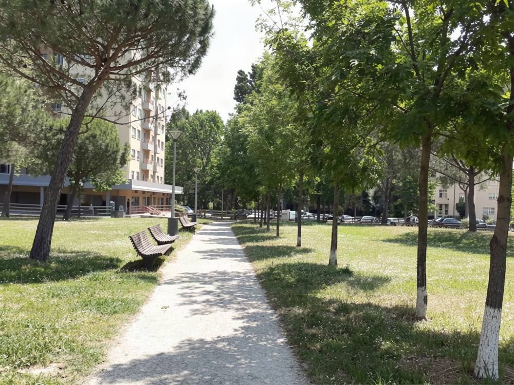 Jardim de Sarah Afonso, Porto