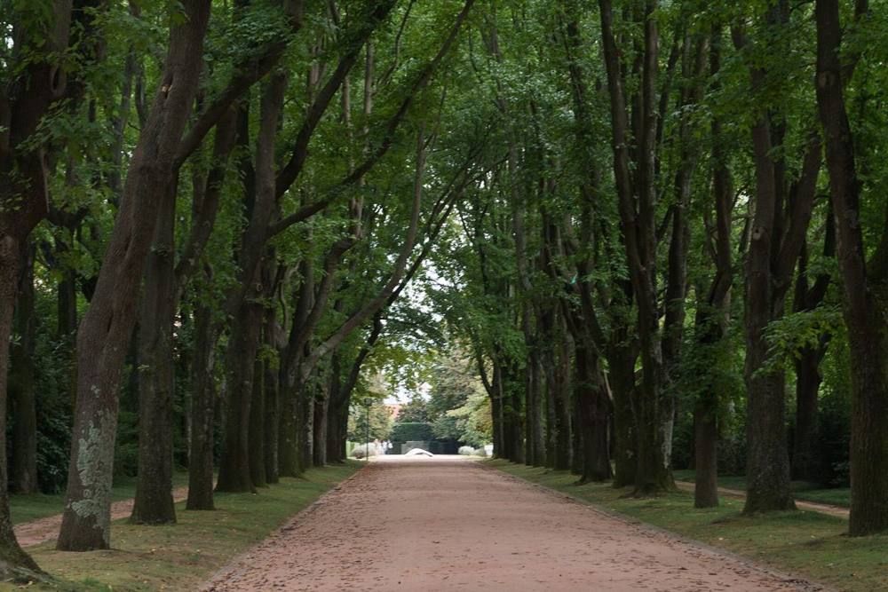 Parque de Serralves, Porto