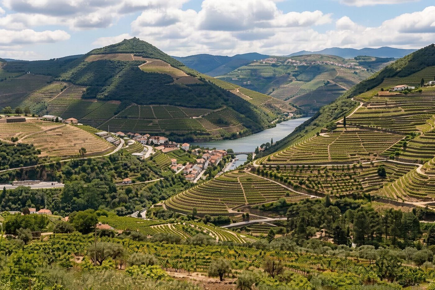 The terraced vineyards of the Alto Douro above the river
