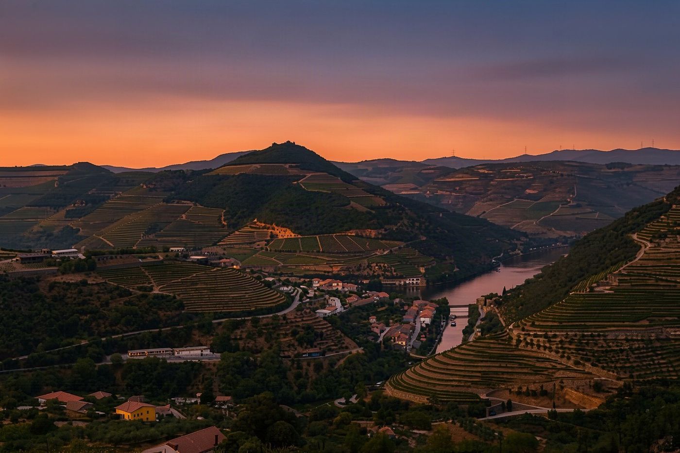 The terraces of the Alto Douro above the river