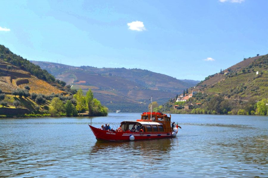 Do Porto: Douro Wine Tour: 2 Wineries, Lunch & River Cruise