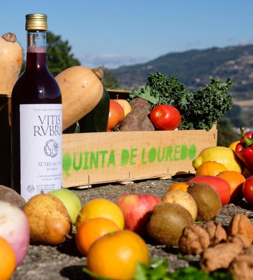 Douro Valley: Traditional Cooking Class, Farm Tour and Lunch