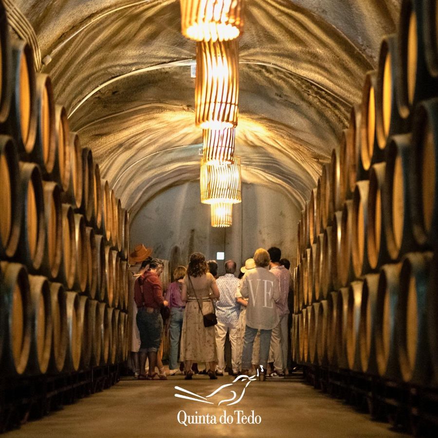 Douro Valley: Winery Tour at Quinta do Tedo and Tastings