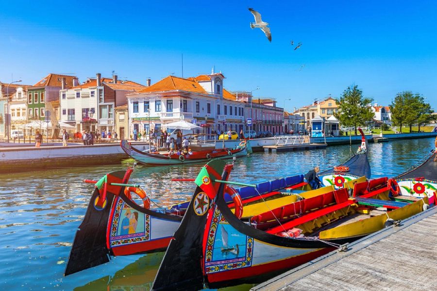 From Porto: Aveiro Half Day Tour