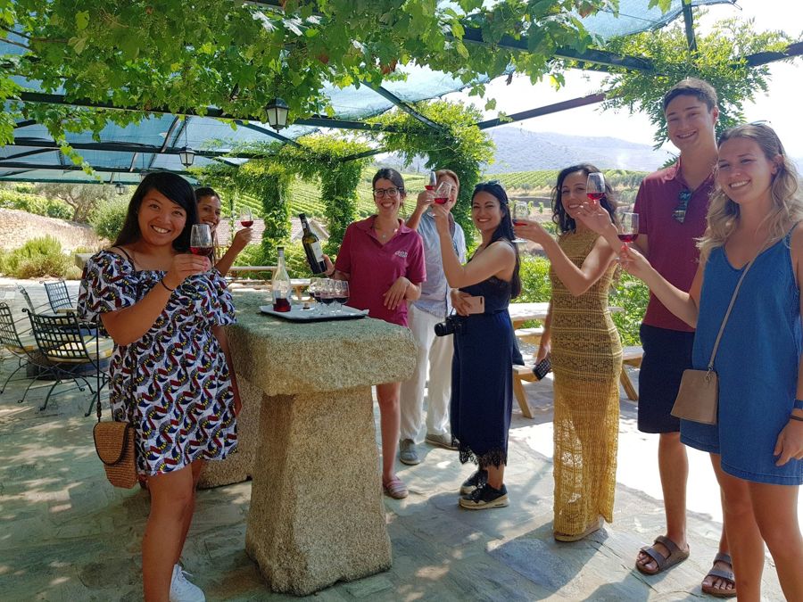From Porto: Douro Valley 4 Vineyards with Lunch + Olive Oil