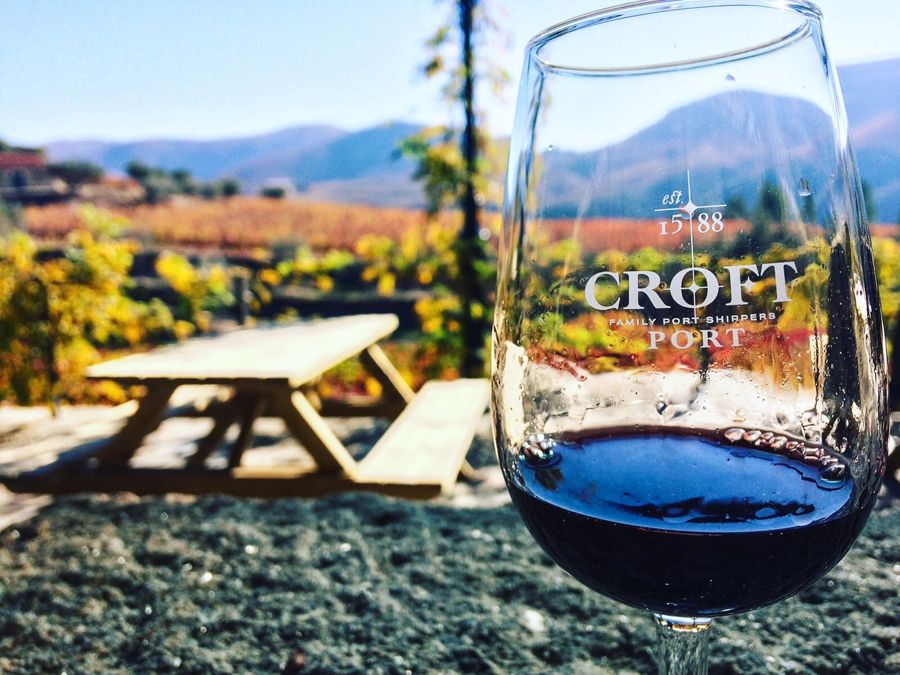 From Porto: Douro Valley w/ Boat Tour, Wine Tasting & Lunch
