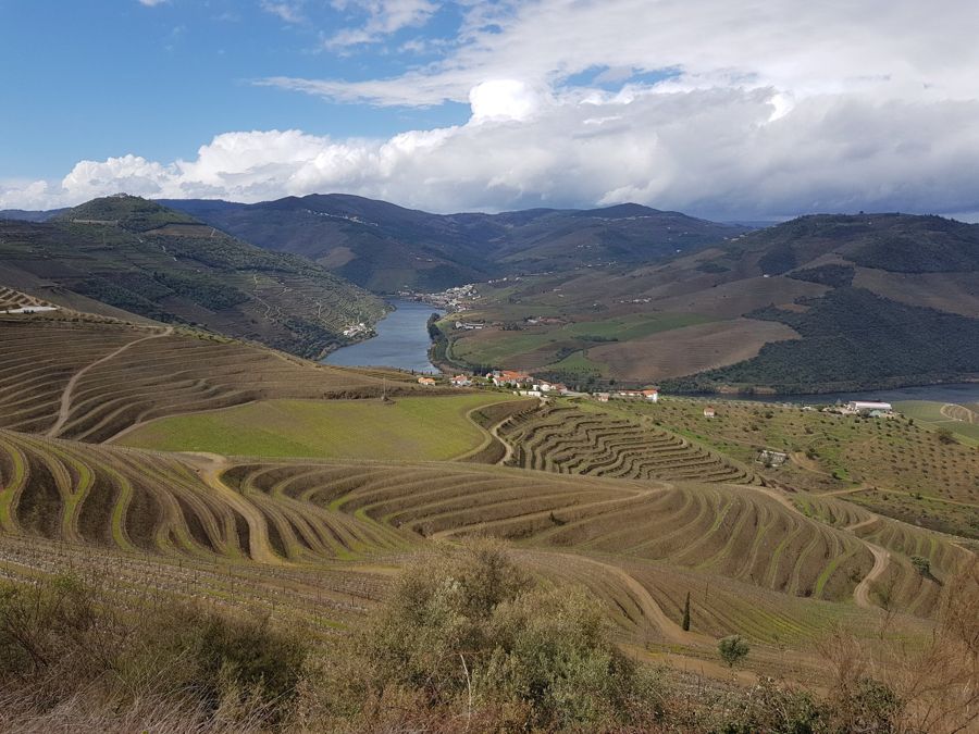 From Porto: Douro Valley Wine Tour with 3 Wineries & Lunch