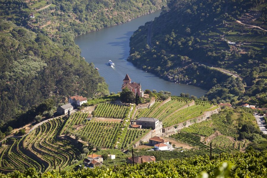 From Porto: Premium Douro Valley Small-Group Wine Tour