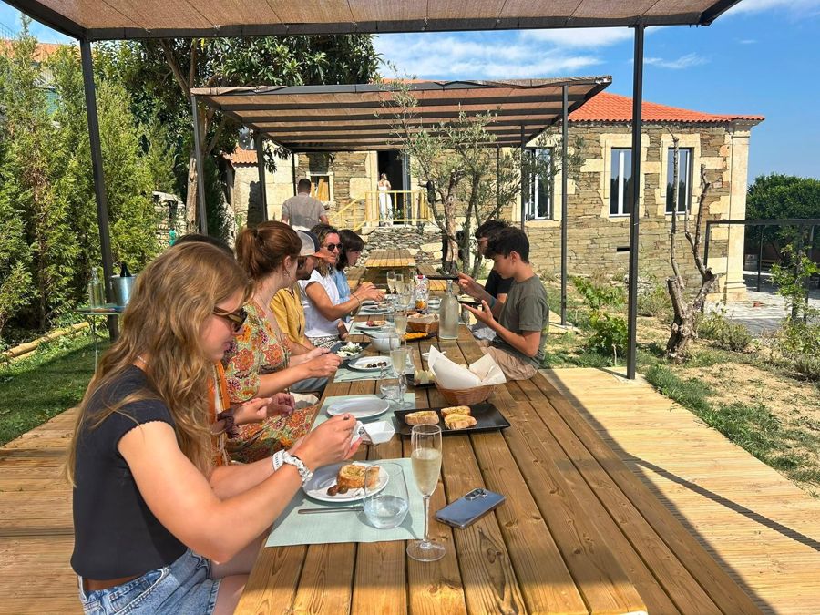 From Porto: Winery Brunch & 1h Boat tour at the Douro Valley
