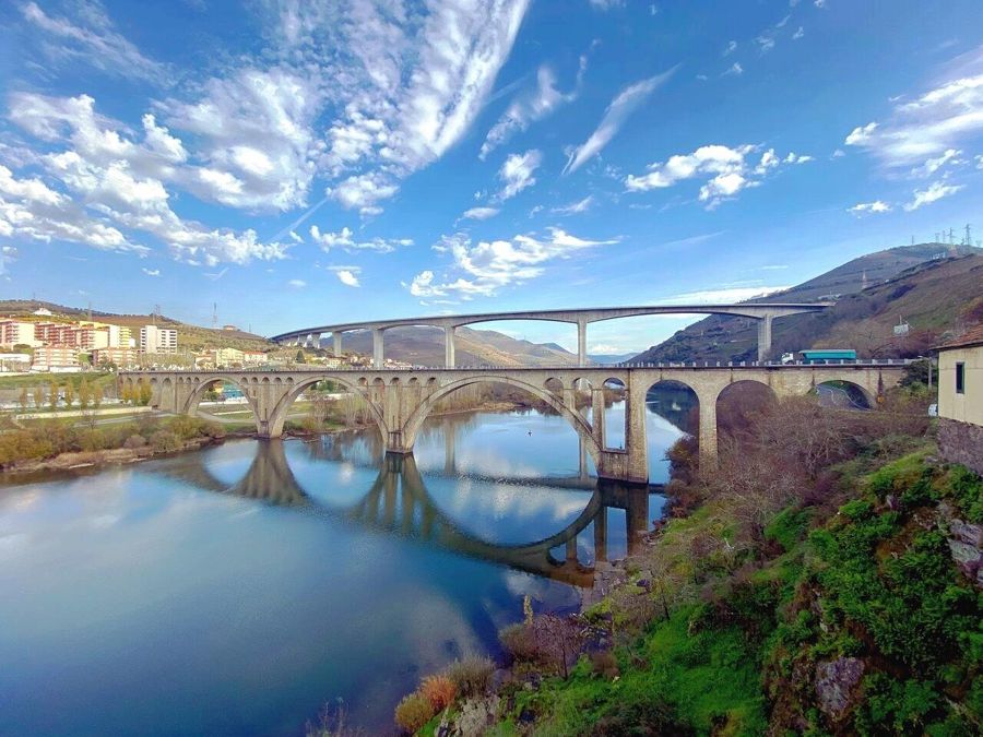 Half Day Douro Valley Tour with Cruise and Winery Lunch