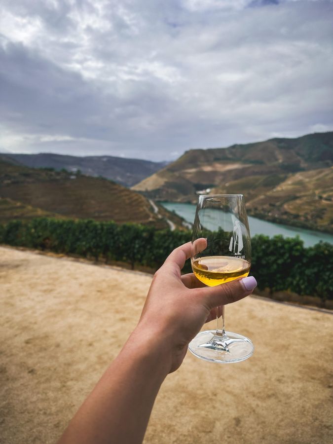 Porto: Douro Valley Half-Day Wine and Food Tour