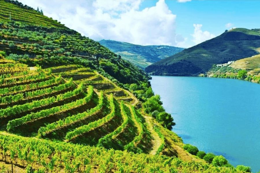 Porto: Douro Valley Tour w/ 3 Tastings, Lunch, & Opt. Cruise