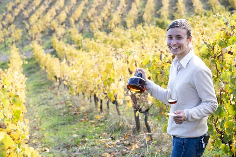 Porto: Guided Wine Tasting at Quinta do Bom Dia
