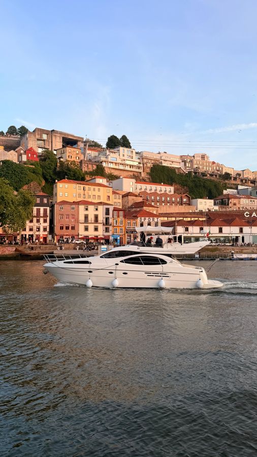 Porto: Luxury Yacht Cruise with Wine, Appetizers & 7 Bridges