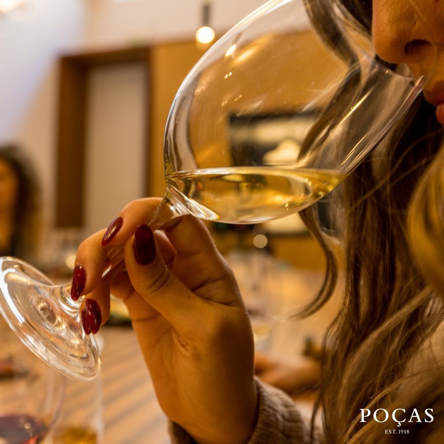 Vila Nova de Gaia: Winery Tour with 2 DOC Douro & 1 Port